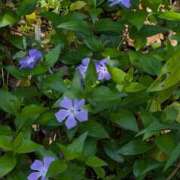 ヒメ日記 2025/06/04 08:45 投稿 つばさ 奥鉄オクテツ奈良