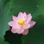 ヒメ日記 2025/06/08 12:45 投稿 つばさ 奥鉄オクテツ奈良