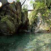 ヒメ日記 2025/06/20 11:15 投稿 つばさ 奥鉄オクテツ奈良