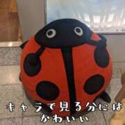 ヒメ日記 2025/06/22 17:25 投稿 つばさ 奥鉄オクテツ奈良