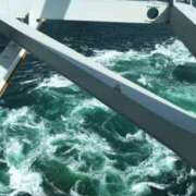 ヒメ日記 2025/07/02 19:00 投稿 つばさ 奥鉄オクテツ奈良