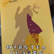 ヒメ日記 2025/07/10 19:30 投稿 つばさ 奥鉄オクテツ奈良