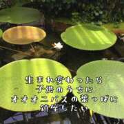 ヒメ日記 2025/07/29 11:15 投稿 つばさ 奥鉄オクテツ奈良