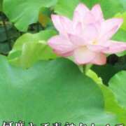 ヒメ日記 2025/09/01 15:00 投稿 つばさ 奥鉄オクテツ奈良