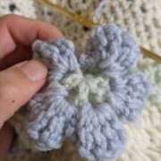 ヒメ日記 2025/11/21 03:30 投稿 つばさ 奥鉄オクテツ奈良