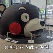 ヒメ日記 2025/11/22 16:55 投稿 つばさ 奥鉄オクテツ奈良