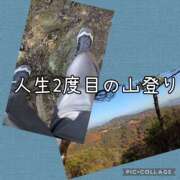 ヒメ日記 2025/11/30 12:30 投稿 つばさ 奥鉄オクテツ奈良