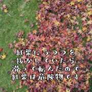 ヒメ日記 2026/01/27 21:25 投稿 つばさ 奥鉄オクテツ奈良