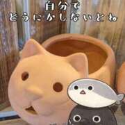 ヒメ日記 2026/02/10 20:30 投稿 つばさ 奥鉄オクテツ奈良