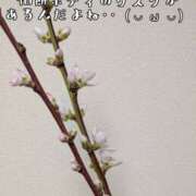 ヒメ日記 2026/03/25 22:30 投稿 つばさ 奥鉄オクテツ奈良