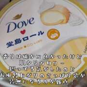 つばさ 忘れ物の貴方様 奥鉄オクテツ奈良