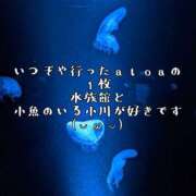 ヒメ日記 2026/06/19 15:30 投稿 つばさ 奥鉄オクテツ奈良