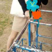ヒメ日記 2026/06/20 09:30 投稿 つばさ 奥鉄オクテツ奈良