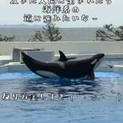 ヒメ日記 2026/09/19 16:05 投稿 つばさ 奥鉄オクテツ奈良