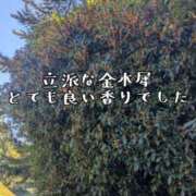 ヒメ日記 2026/10/10 10:40 投稿 つばさ 奥鉄オクテツ奈良