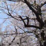 ヒメ日記 2025/04/12 07:42 投稿 つき ぽっちゃり巨乳専門木更津君津ちゃんこin千葉