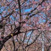 ヒメ日記 2025/02/25 08:21 投稿 ひいろ 完熟ばなな 横浜