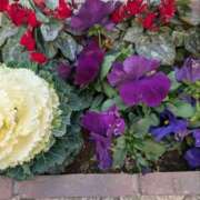 ヒメ日記 2025/03/17 06:51 投稿 ひいろ 完熟ばなな 横浜