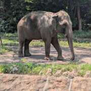 ヒメ日記 2025/07/02 10:30 投稿 ひいろ 完熟ばなな 横浜