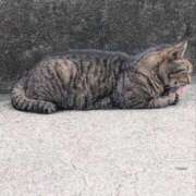 ひいろ 完熟ばなな横浜　ひいろです 完熟ばなな 横浜