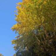 ヒメ日記 2025/12/16 10:41 投稿 ひいろ 完熟ばなな 横浜