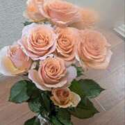 ひいろ 完熟ばなな横浜　ひいろです 完熟ばなな 横浜