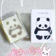 ヒメ日記 2025/02/19 20:25 投稿 つばき 奥様はエンジェル　立川店