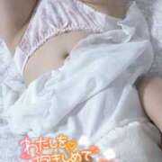 ヒメ日記 2025/02/20 11:17 投稿 つばき 奥様はエンジェル　立川店