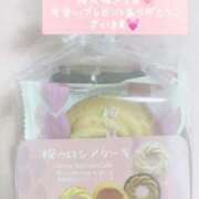 ヒメ日記 2025/04/01 09:27 投稿 つばき 奥様はエンジェル　立川店