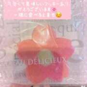 ヒメ日記 2025/04/06 13:27 投稿 つばき 奥様はエンジェル　立川店