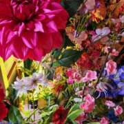 ヒメ日記 2025/03/22 12:50 投稿 吉高　れのん エテルナ京都