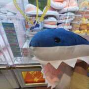 ヒメ日記 2025/04/27 20:16 投稿 吉高　れのん エテルナ京都