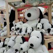 ヒメ日記 2025/03/26 13:42 投稿 なち 那須塩原人妻花壇