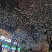 ヒメ日記 2025/03/30 09:42 投稿 なち 那須塩原人妻花壇