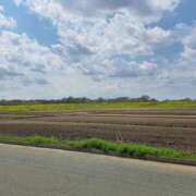 ヒメ日記 2025/04/07 14:03 投稿 なち 那須塩原人妻花壇