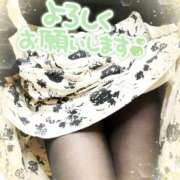 ヒメ日記 2025/04/16 09:51 投稿 波川えみ おもてなし妻