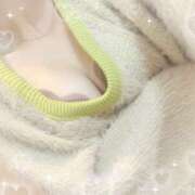 ヒメ日記 2025/03/15 09:28 投稿 めう ホテルだヨ！全員集合