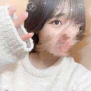 ヒメ日記 2025/03/17 08:08 投稿 めう ホテルだヨ！全員集合