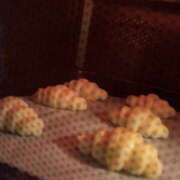 ヒメ日記 2025/04/15 01:28 投稿 めう ホテルだヨ！全員集合