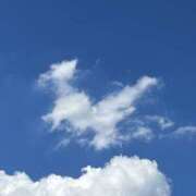 ヒメ日記 2025/05/07 12:09 投稿 めう ホテルだヨ！全員集合