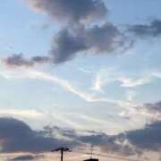 ヒメ日記 2025/06/12 14:48 投稿 めう ホテルだヨ！全員集合