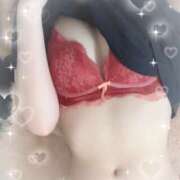 ヒメ日記 2025/07/12 07:54 投稿 めう ホテルだヨ！全員集合