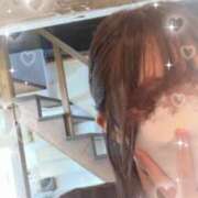 ヒメ日記 2025/07/31 11:14 投稿 めう ホテルだヨ！全員集合