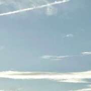 ヒメ日記 2025/08/04 17:54 投稿 めう ホテルだヨ！全員集合