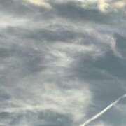 ヒメ日記 2025/10/05 10:24 投稿 めう ホテルだヨ！全員集合