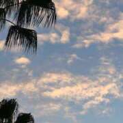 ヒメ日記 2025/10/17 13:34 投稿 めう ホテルだヨ！全員集合