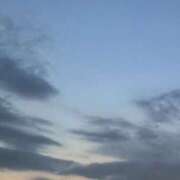 ヒメ日記 2025/10/31 14:44 投稿 めう ホテルだヨ！全員集合