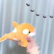 ヒメ日記 2025/11/01 04:44 投稿 めう ホテルだヨ！全員集合