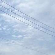 ヒメ日記 2025/11/15 07:04 投稿 めう ホテルだヨ！全員集合