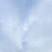 ヒメ日記 2025/11/21 17:34 投稿 めう ホテルだヨ！全員集合